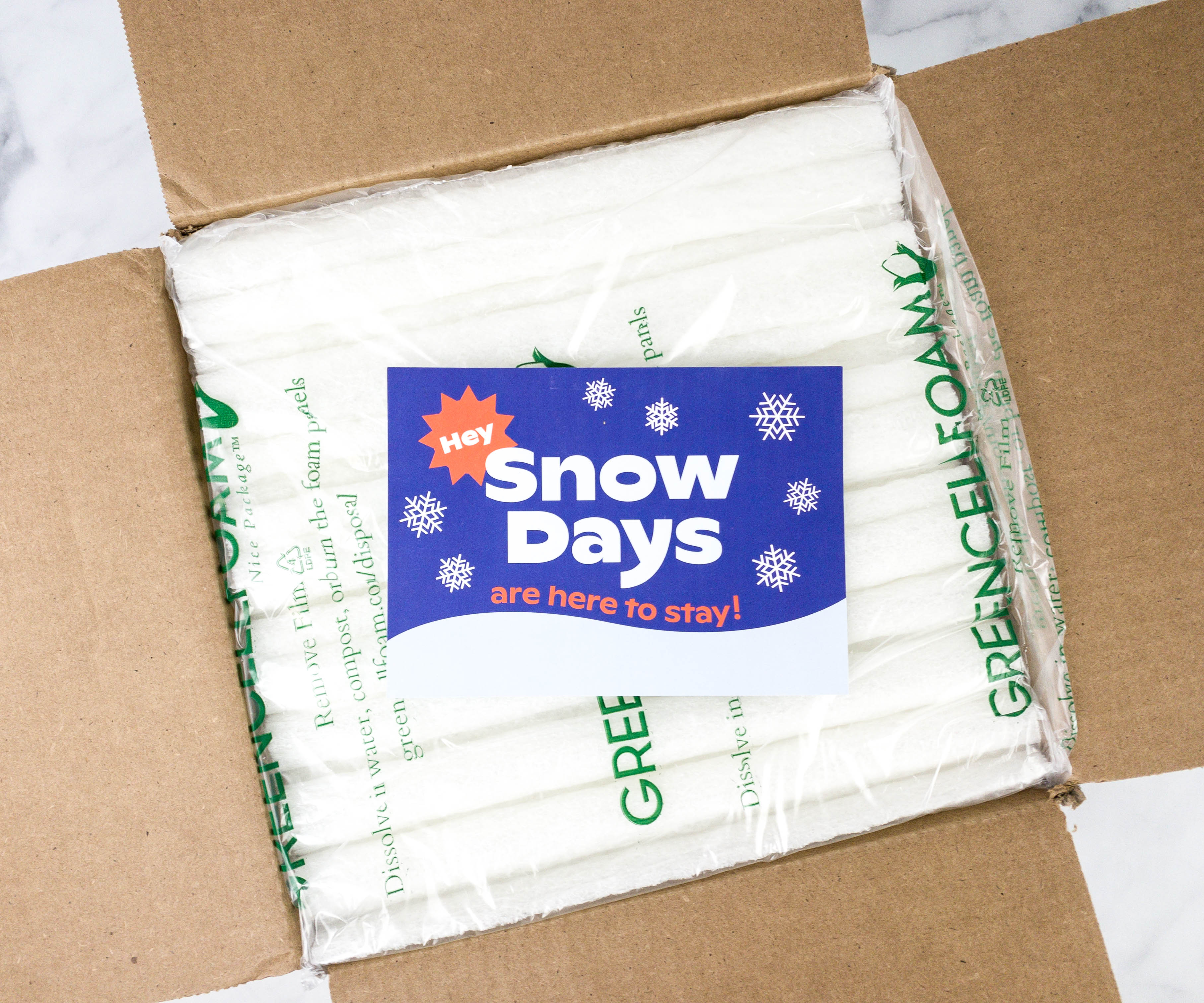 Snow Days Pizza Bites Subscription Box Review + Coupon! - Hello