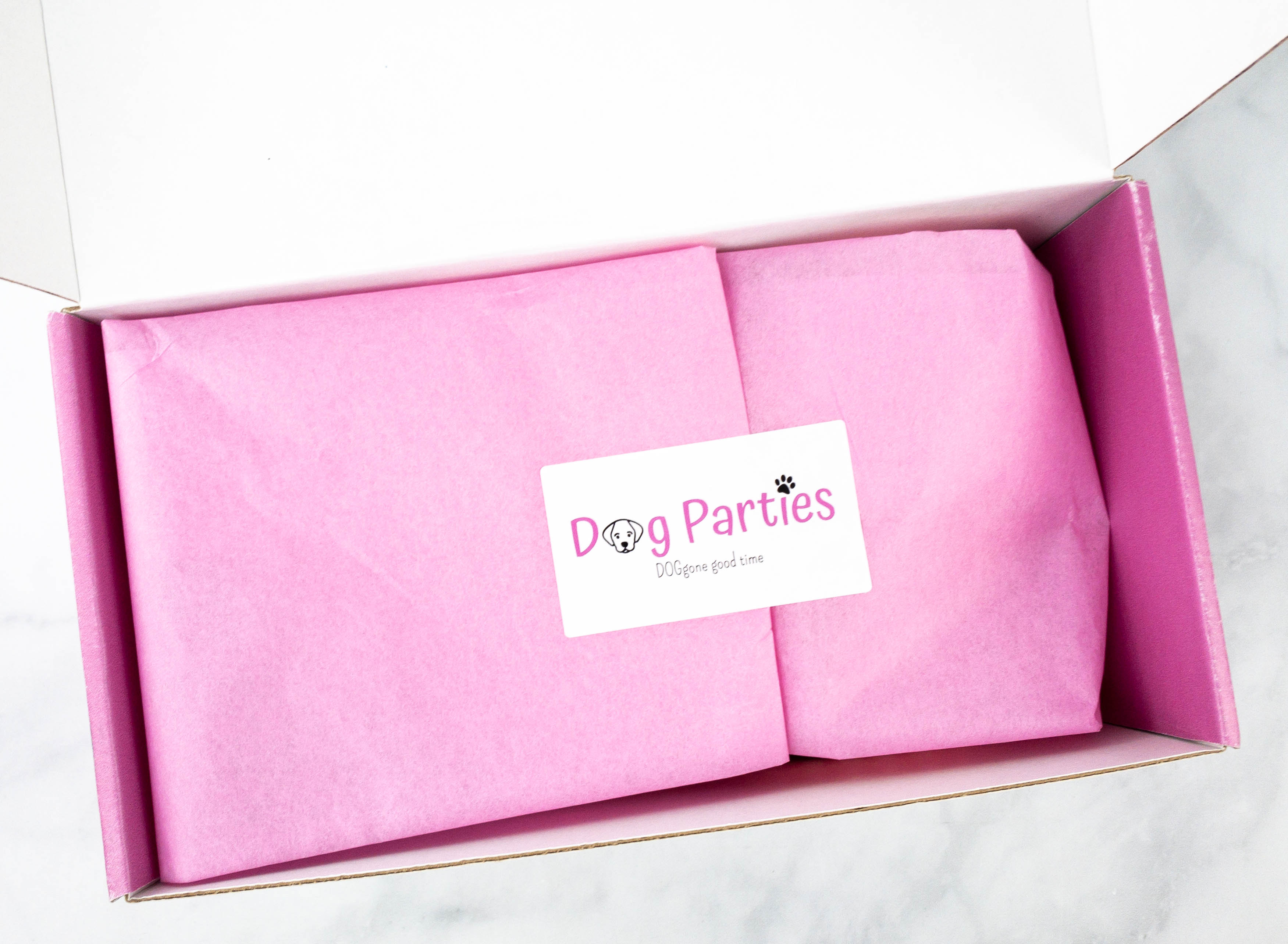 Dog Parties Subscription Box Review February 2021 Hello Subscription