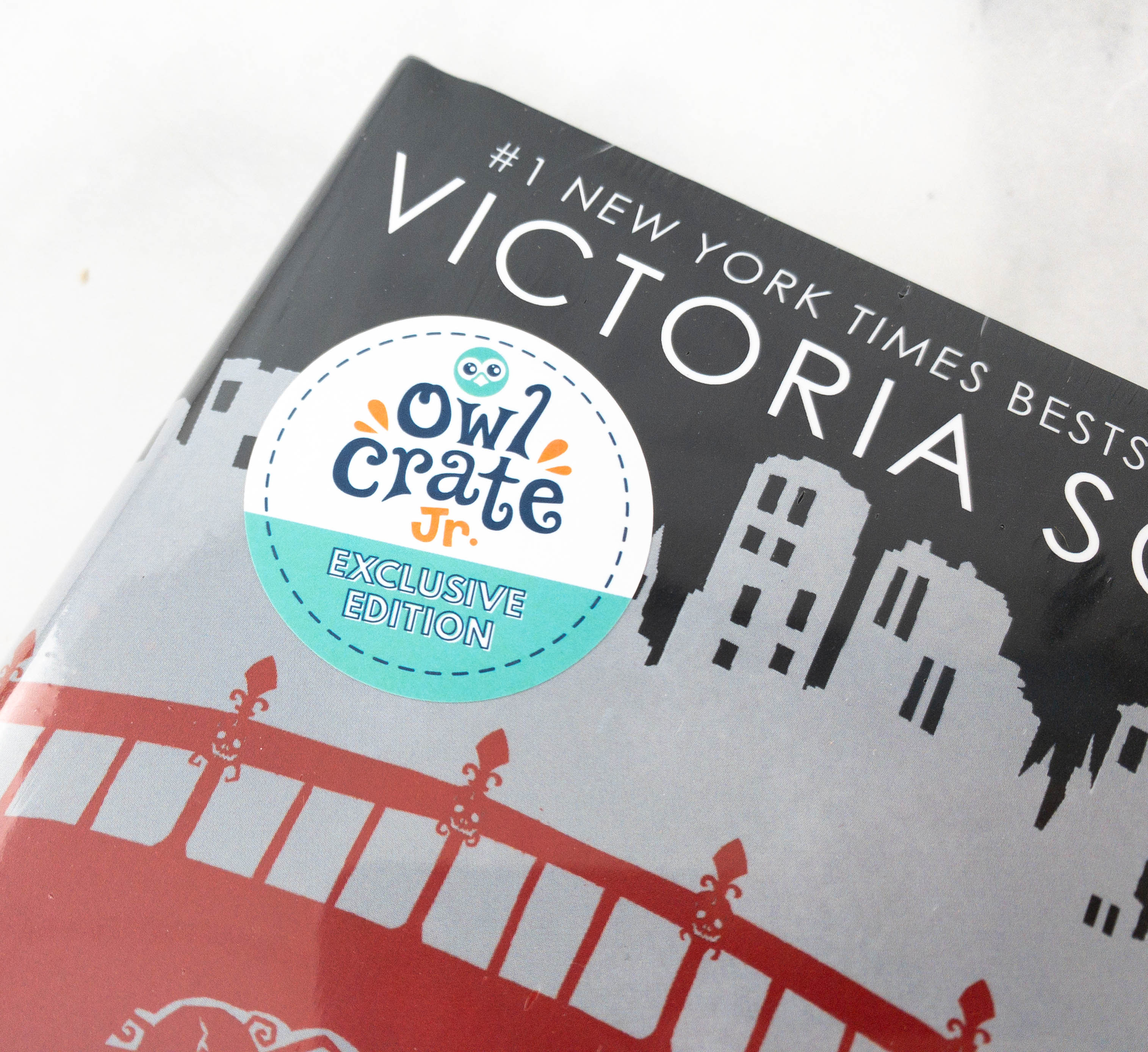 OwlCrate Jr Limited Edition Box - Bridge of Souls! - Hello