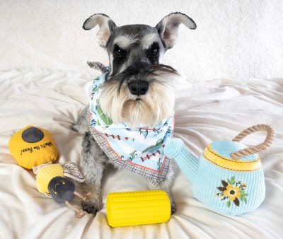 PupBox Coupon: 50% Off First Month of Toys and Treats For Your Pup!