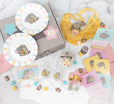 pusheen 2020 winter box