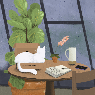 Sips by Limited Edition Rainy Day Tea Box Available Now!