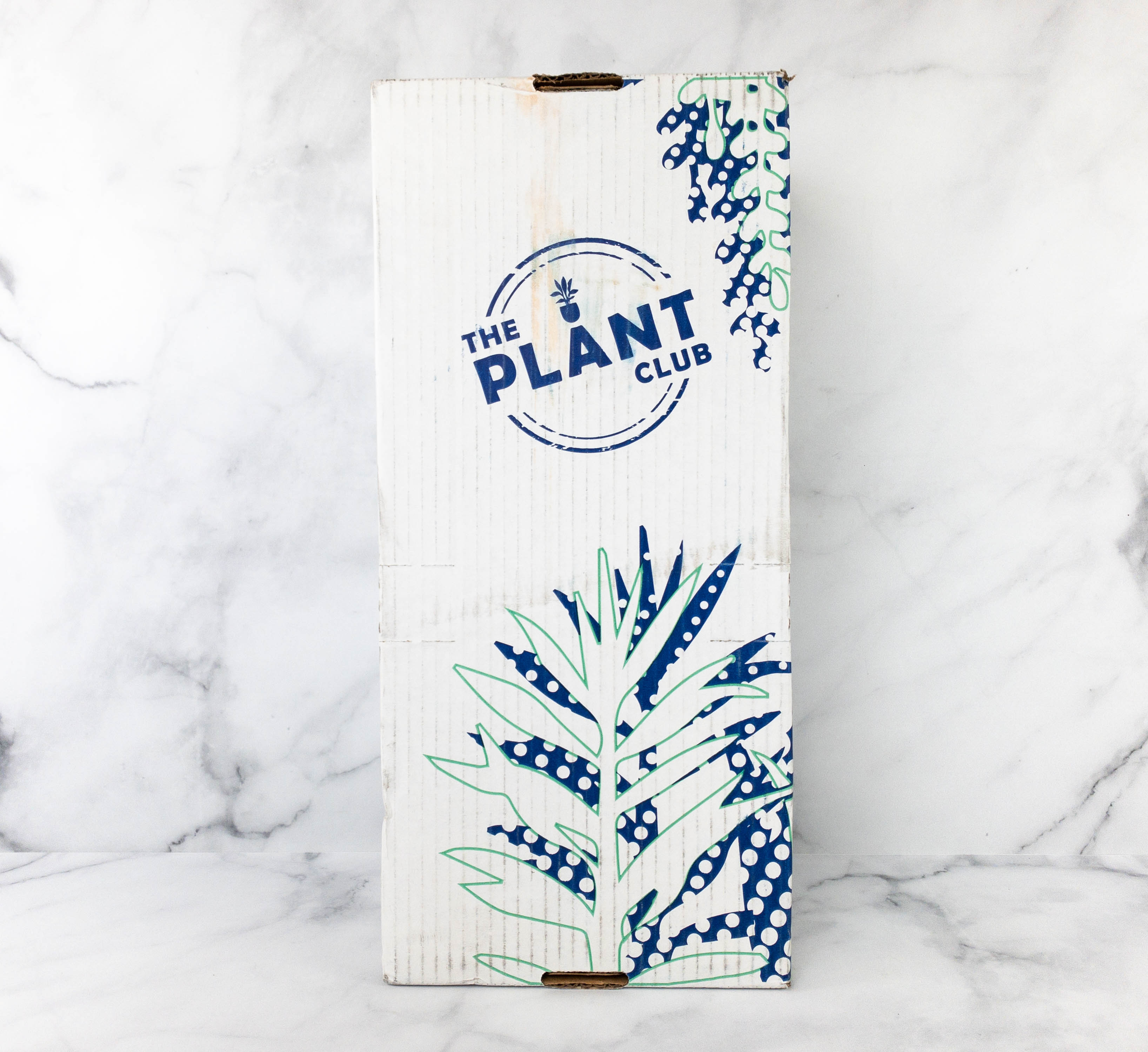 The Plant Club Subscription Box Review + Coupon March 2021 Hello