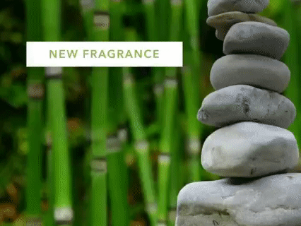 Aera Bamboo Jardin Fragrance Available Now!