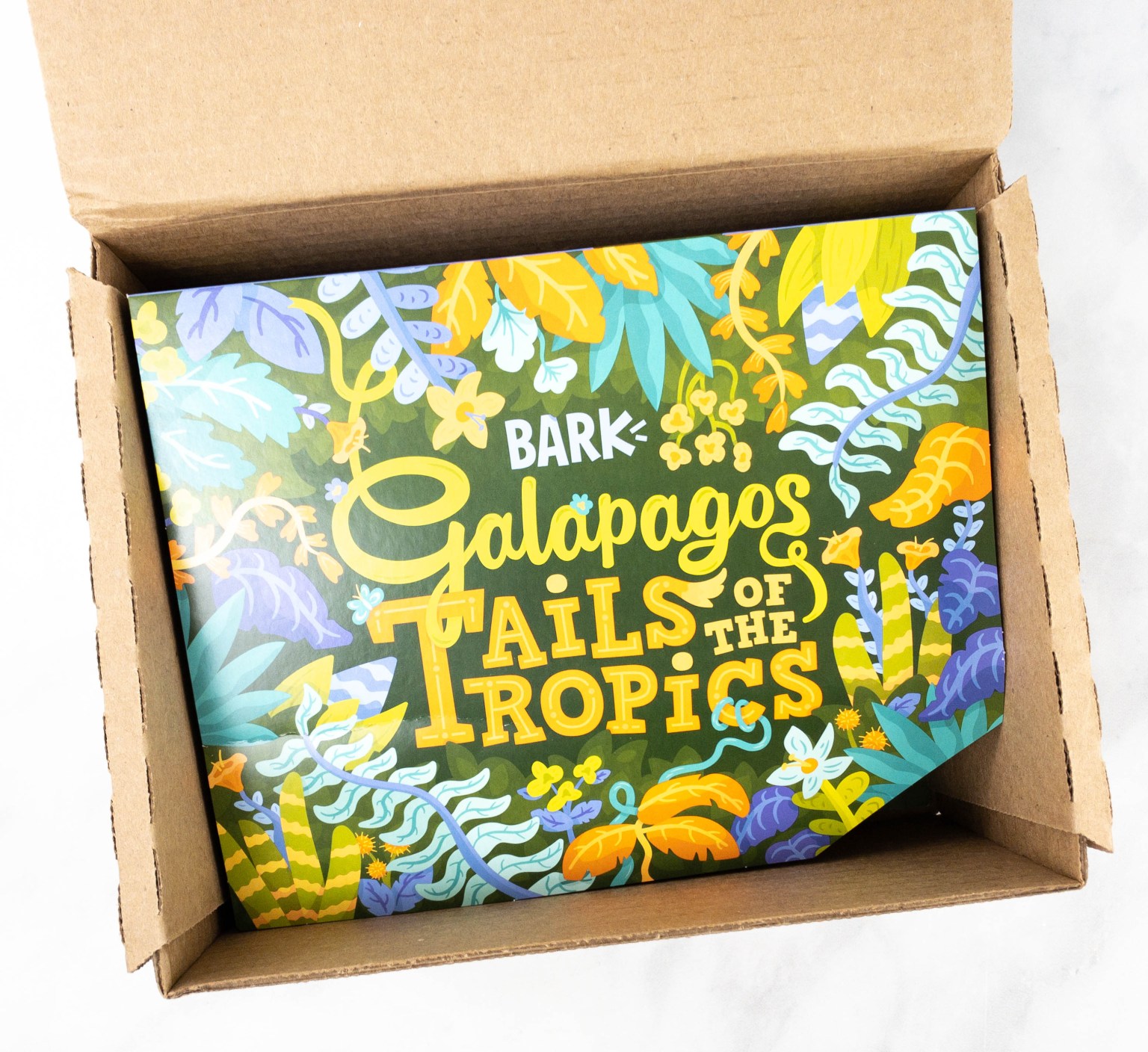 Barkbox Review + Coupon April 2021 Hello Subscription