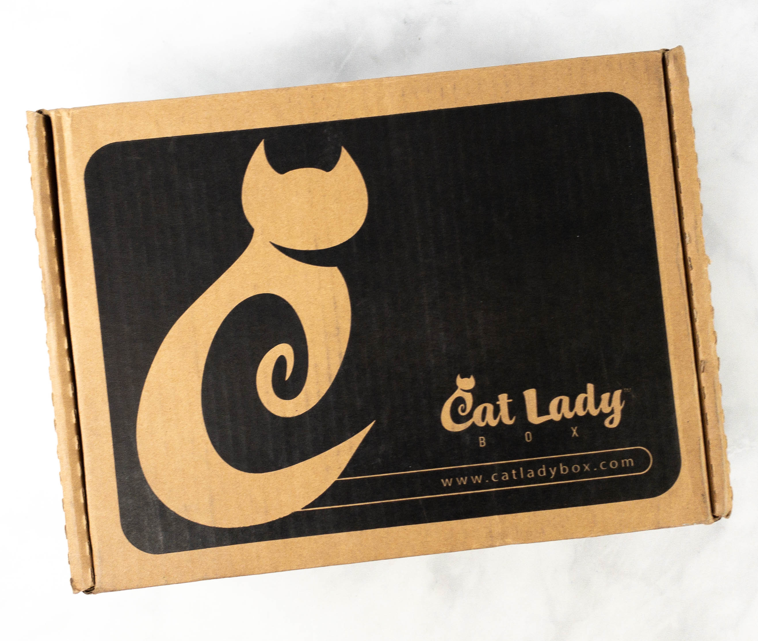 Cat Lady Box April 2021 Subscription Box Review NEON VIBES! Hello