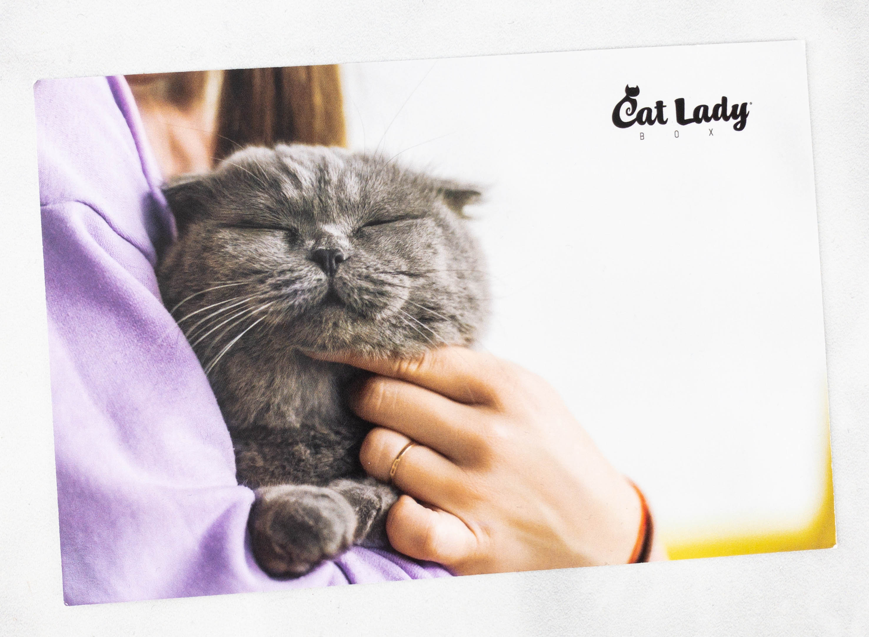 Cat Lady Box Hello Subscription Cat Lady Box Hello Subscription