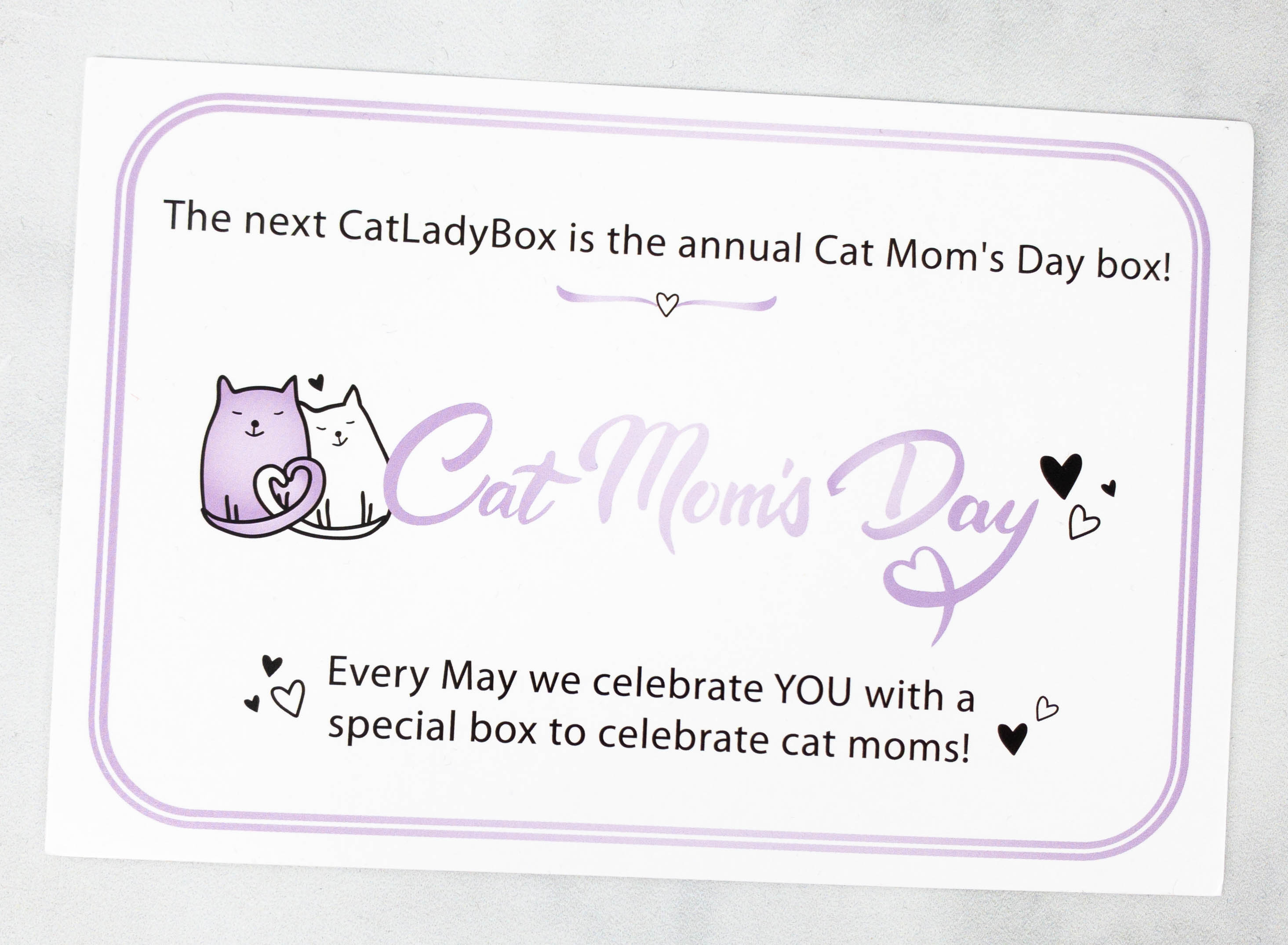 Cat Lady Box Hello Subscription Cat Lady Box Hello Subscription