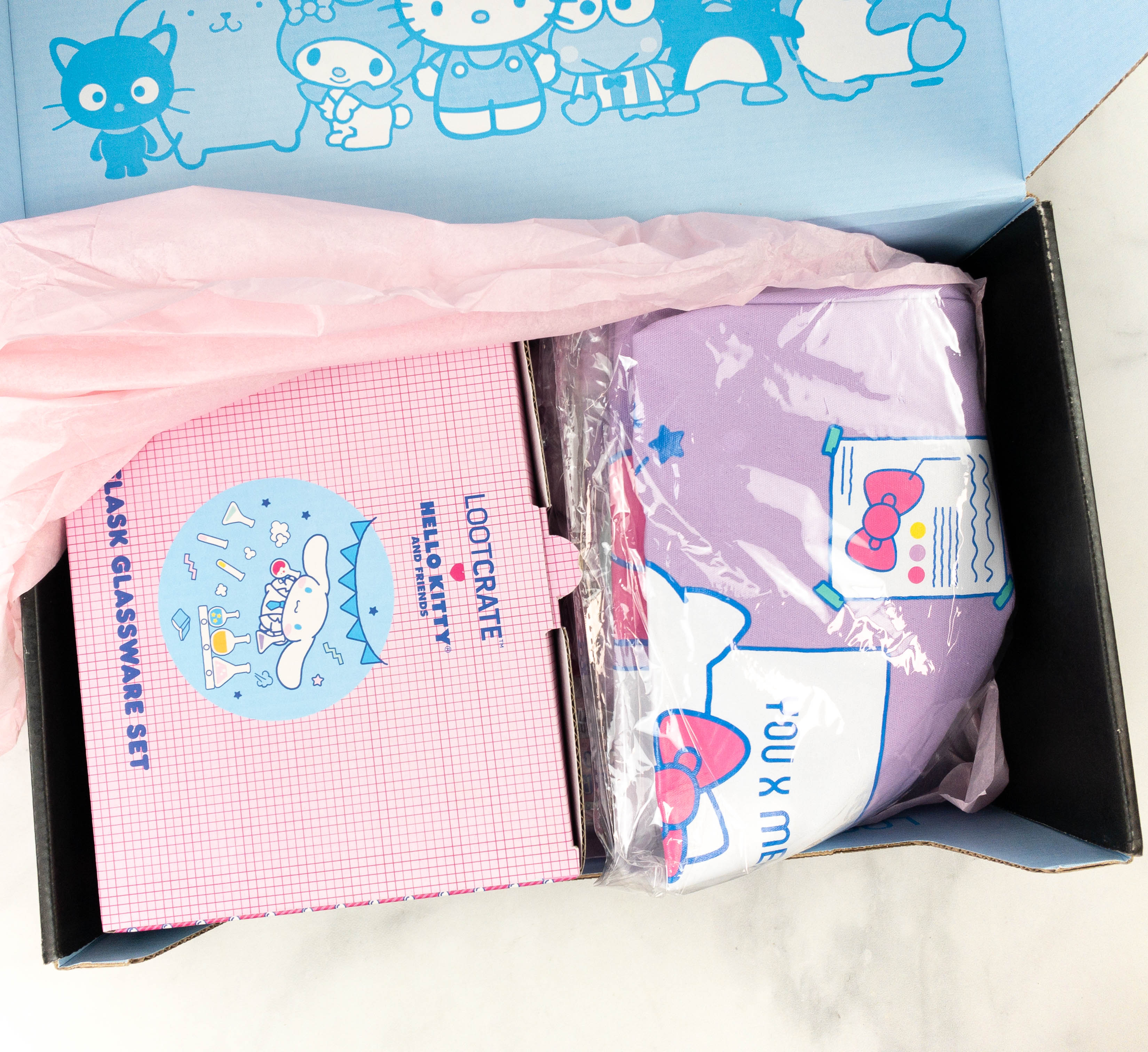 Hello Kitty And Friends Box Review + Coupon - February 2021 - Hello ...