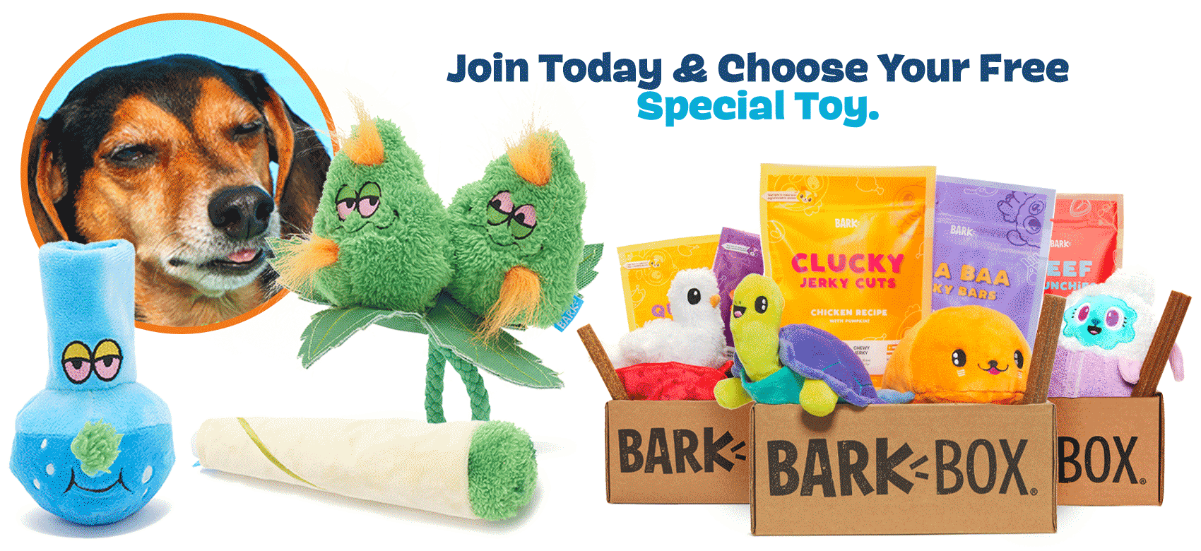 BarkBox Coupon FREE 420 Inspired Bonus Toy With Subscription! Hello