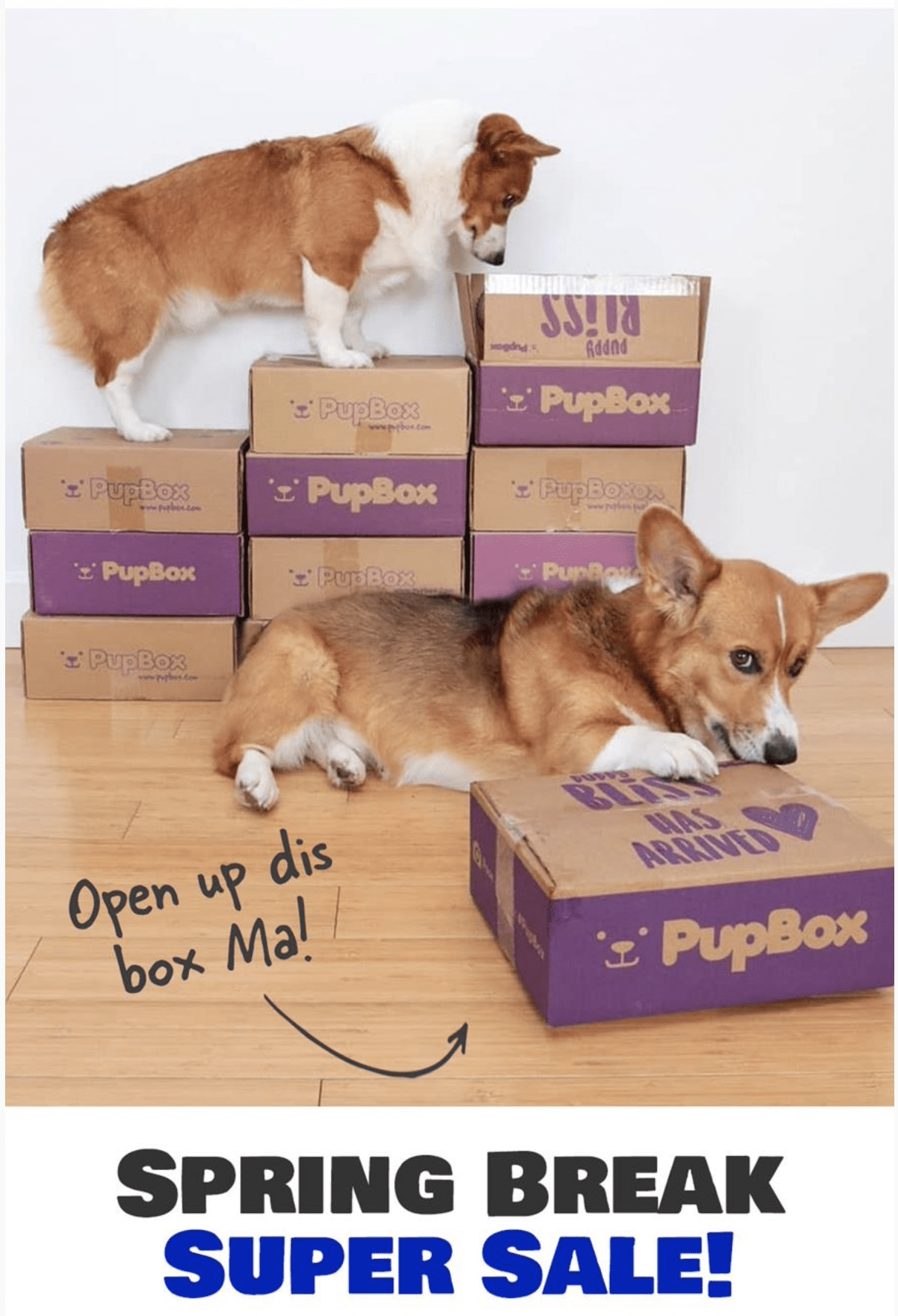 PupBox National Pup Day Sale: First Box 75% OFF! - Hello Subscription