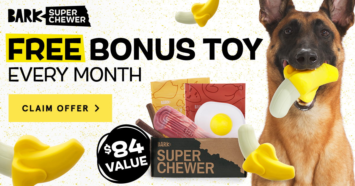 barkbox free extra toy