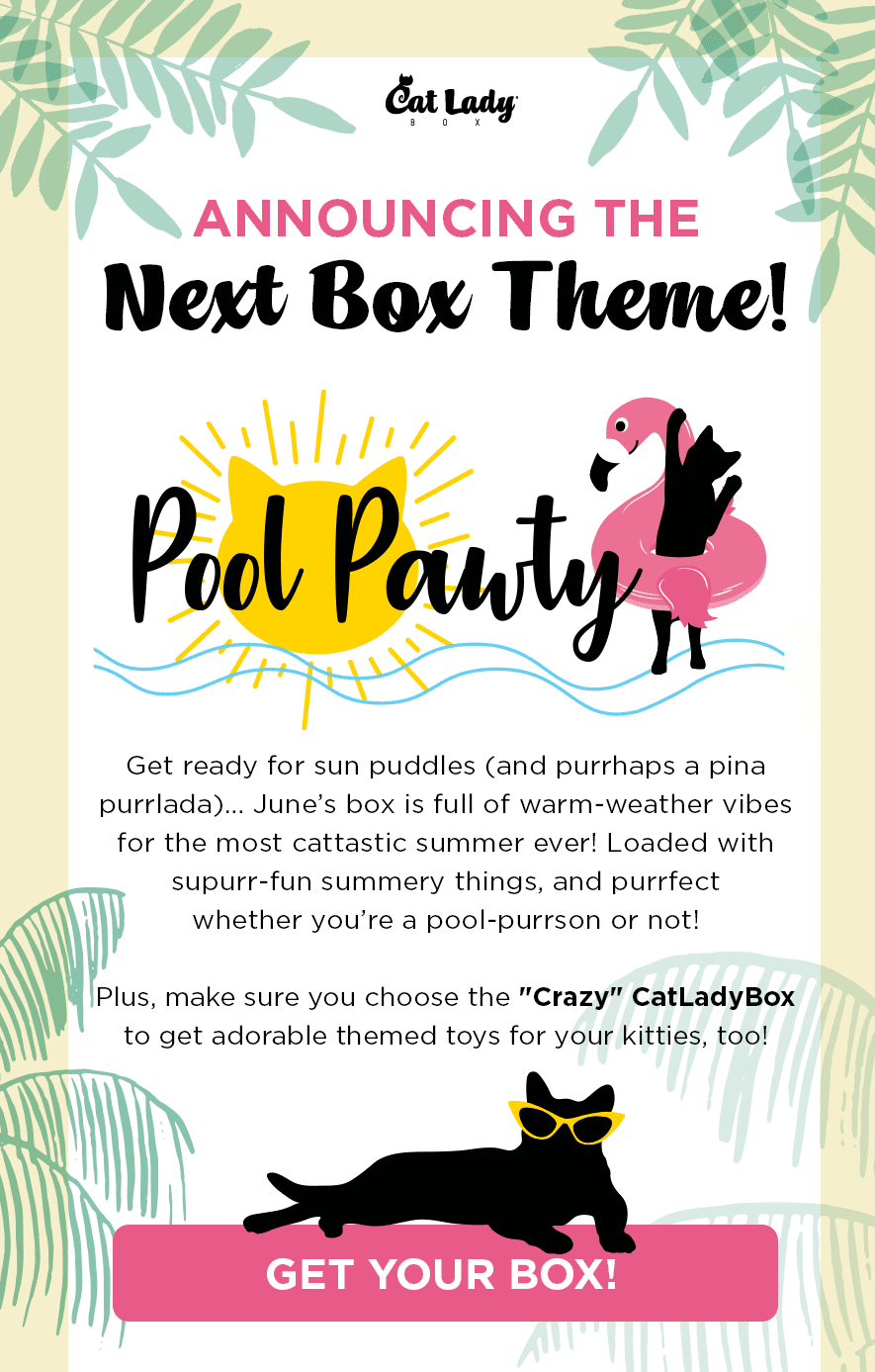 Cat Lady Box June 21 Theme Spoilers Coupon Hello Subscription