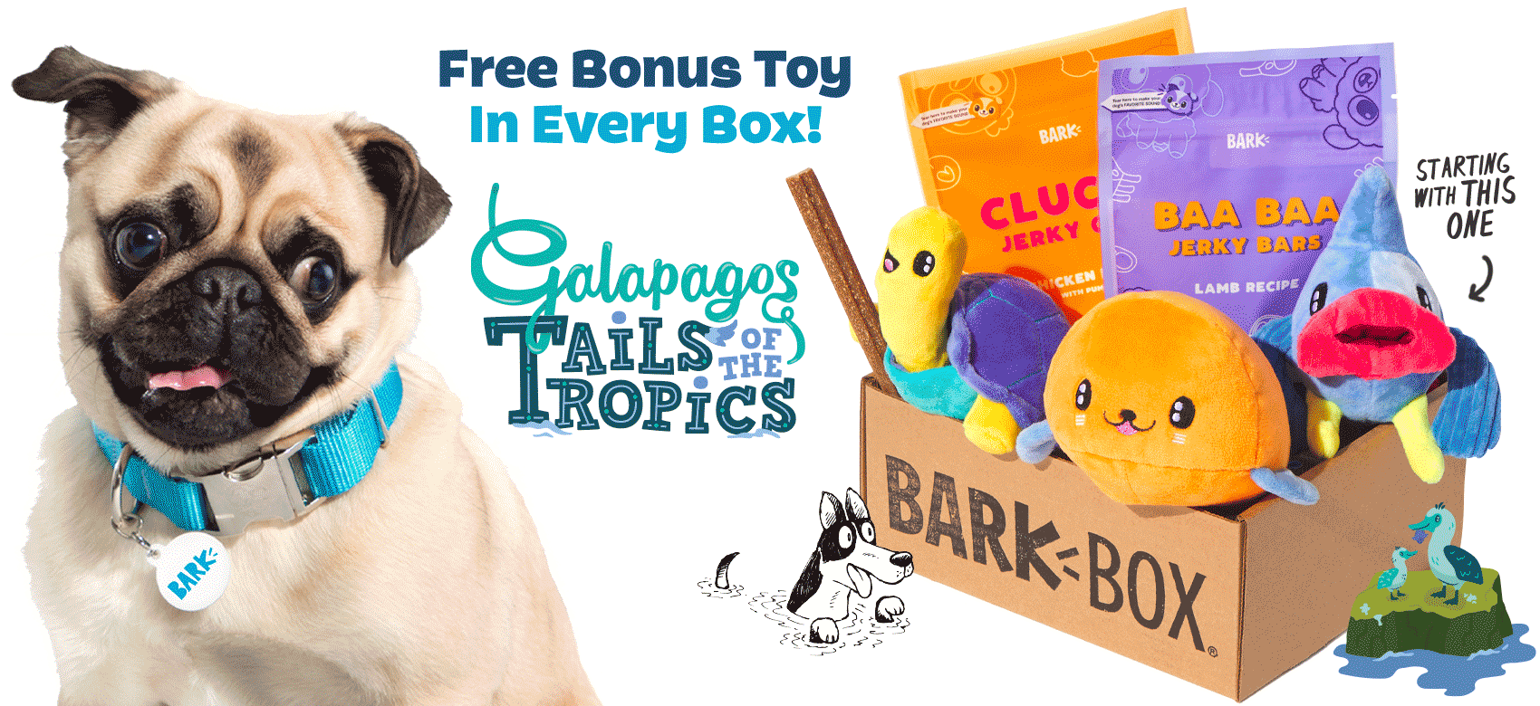 barkbox galapagos toys