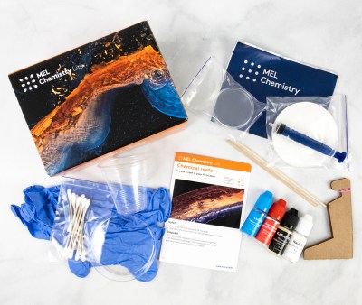 MEL Lite by MEL Science Subscription Box Review – CHEMICAL REEFS