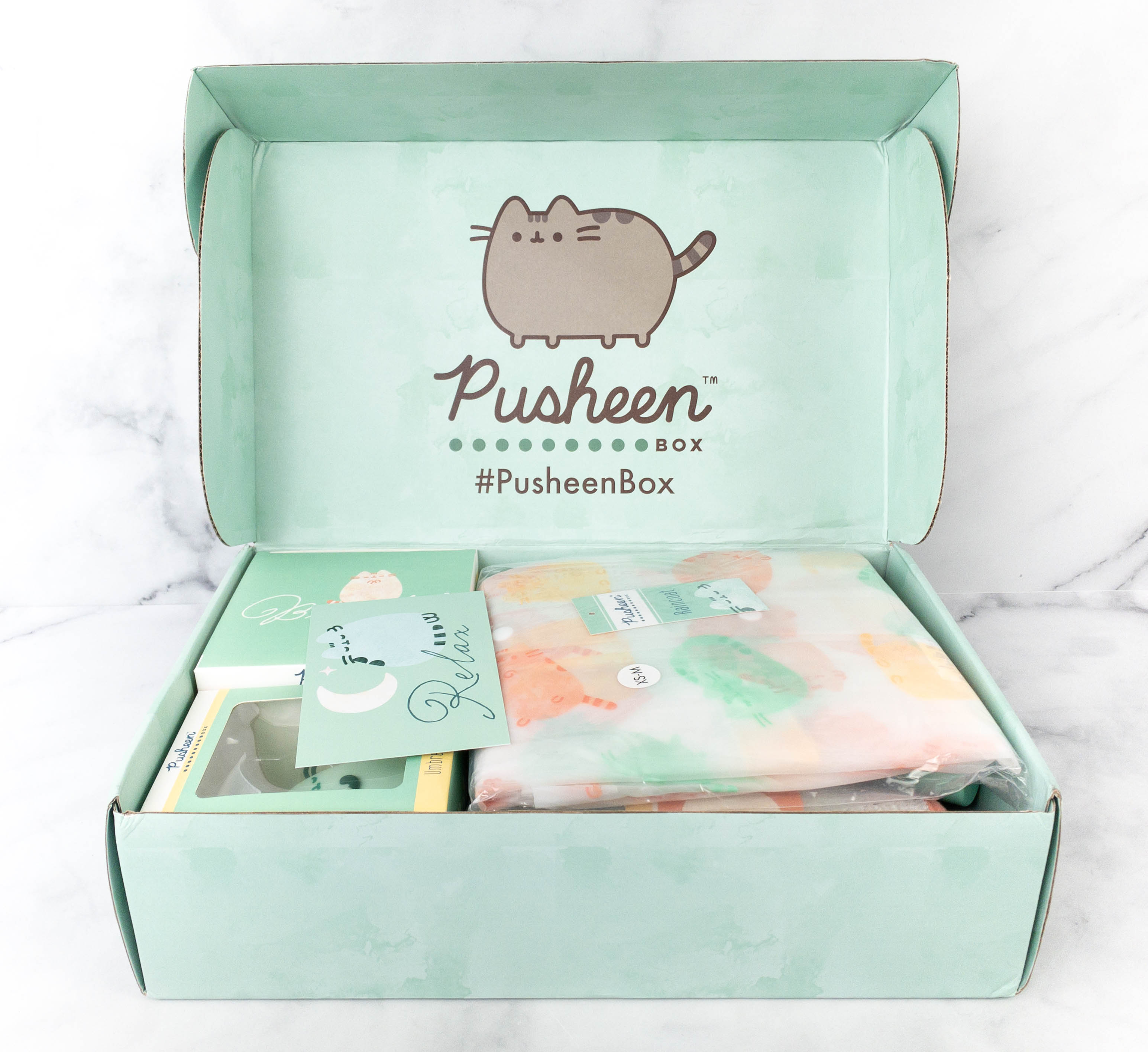 Pusheen subscription outlet box