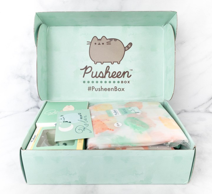 Pusheen Box Review - Spring 2021 - Hello Subscription