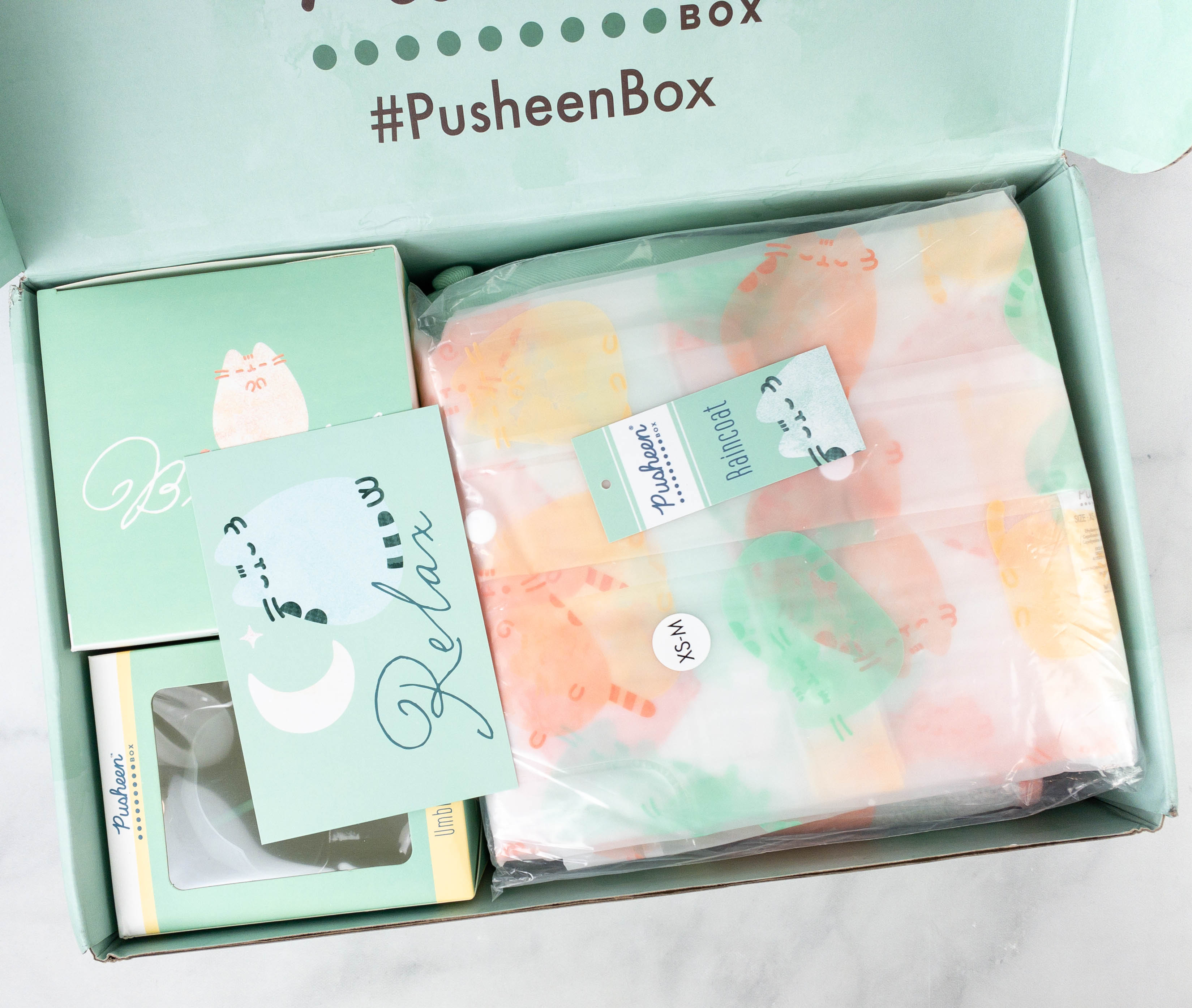 PUSHEEN BOX hotsell SPRING 2021 RAINY DAY