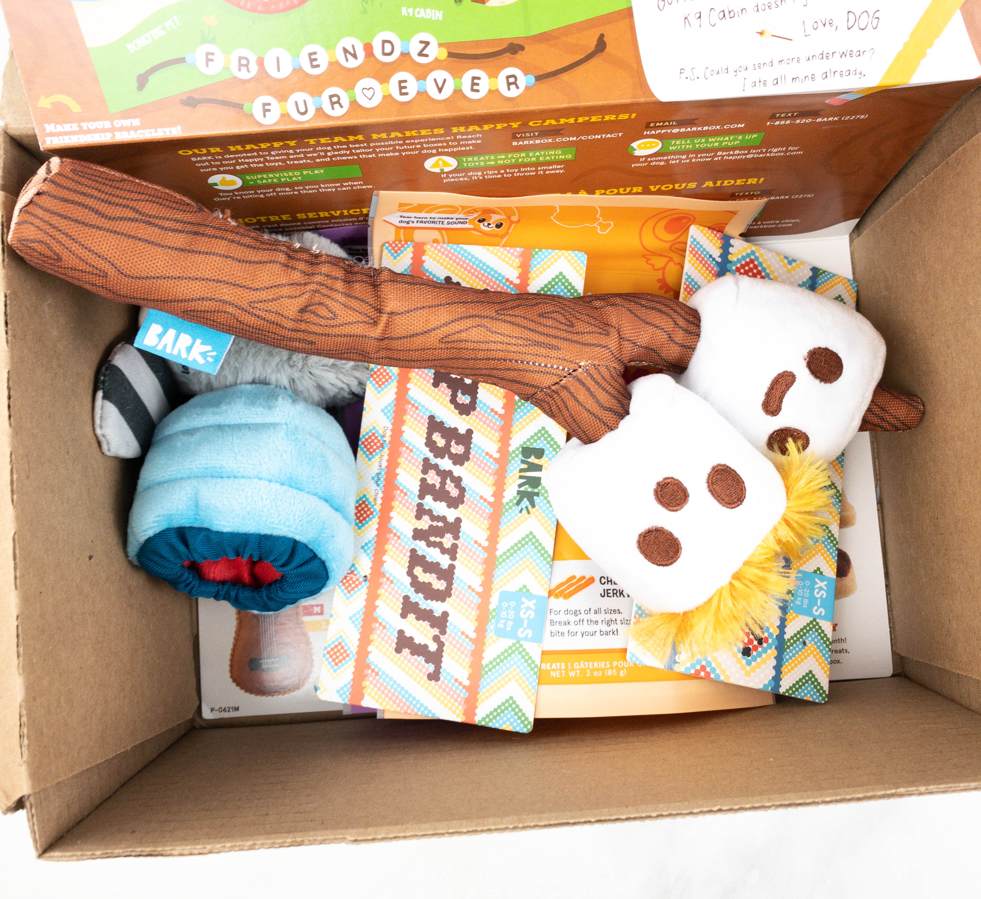 Barkbox Review + Coupon June 2021 Hello Subscription