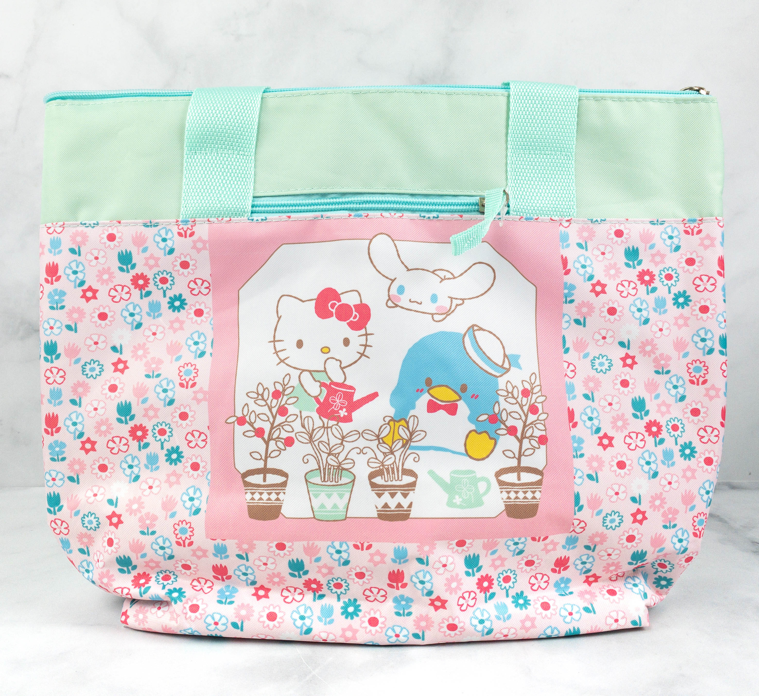 Hello Kitty and Friends June 2021 Theme Spoilers + Coupon! - Hello  Subscription