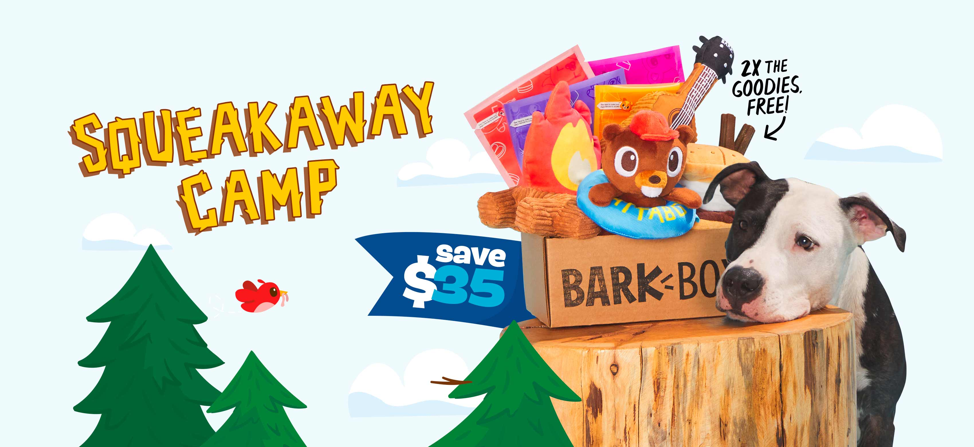 squeakaway camp barkbox