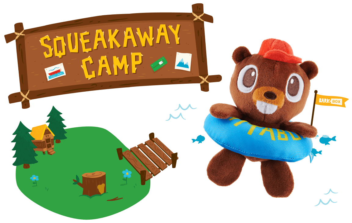 barkbox squeak away camp