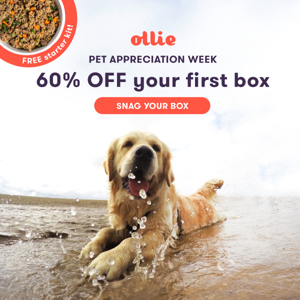 dog food on sale this week