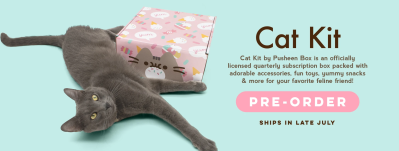 Cat Kit by Pusheen Box: Pusheen Subscription Box For Your Feline Friend!