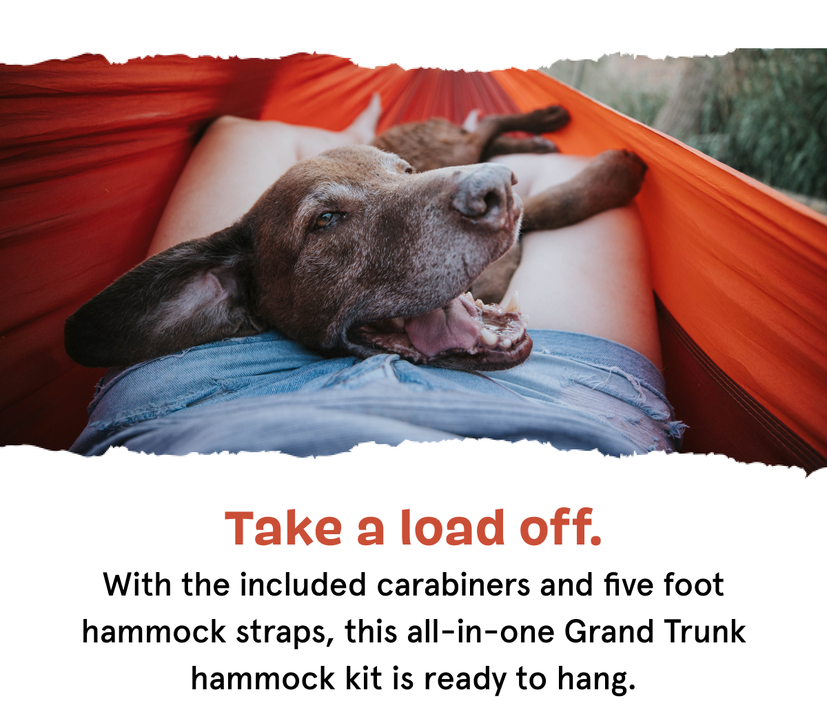 super chewer hammock