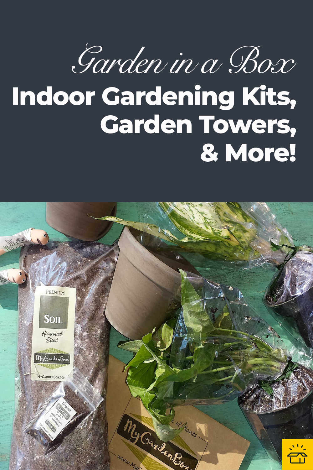 Best Indoor-Garden Kits 2023