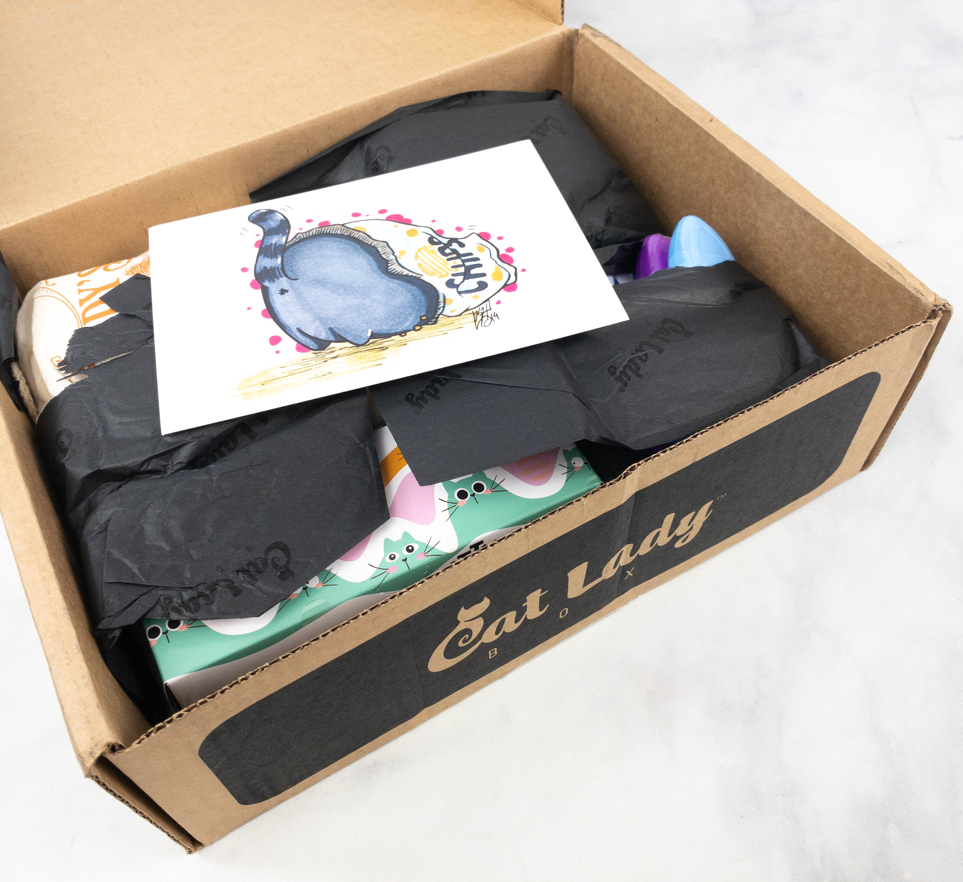 Cat Lady Box August 2021 Subscription Box Review PURRFECT PANTRY BOX