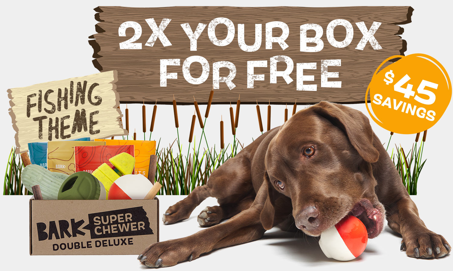 barkbox super chewer august 2021