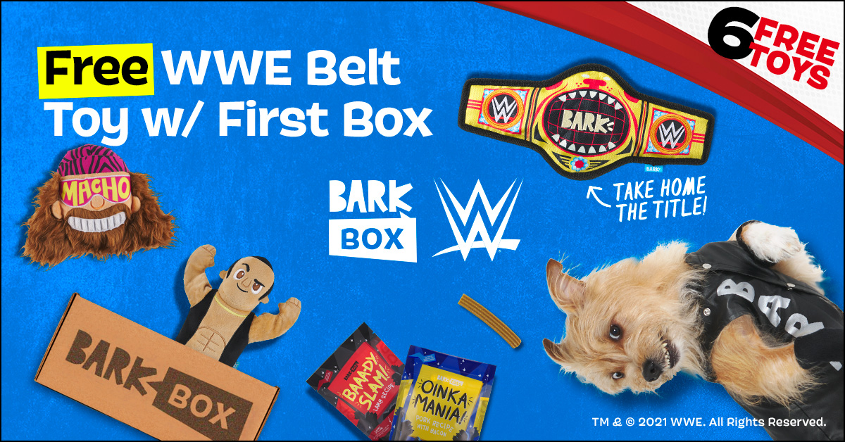 wwe barkbox toys