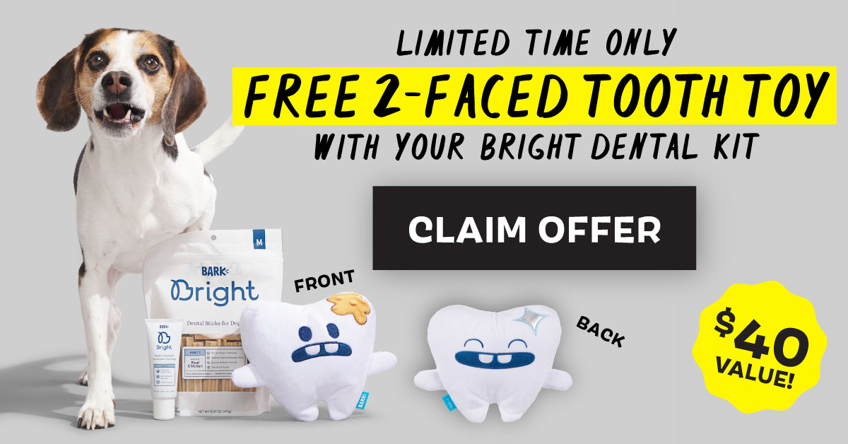 bark bright dental toy