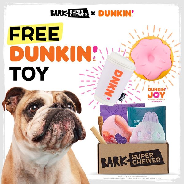 Dunkin' Teams with BARK to Offer Dog Toys for Charity - QSR Magazine