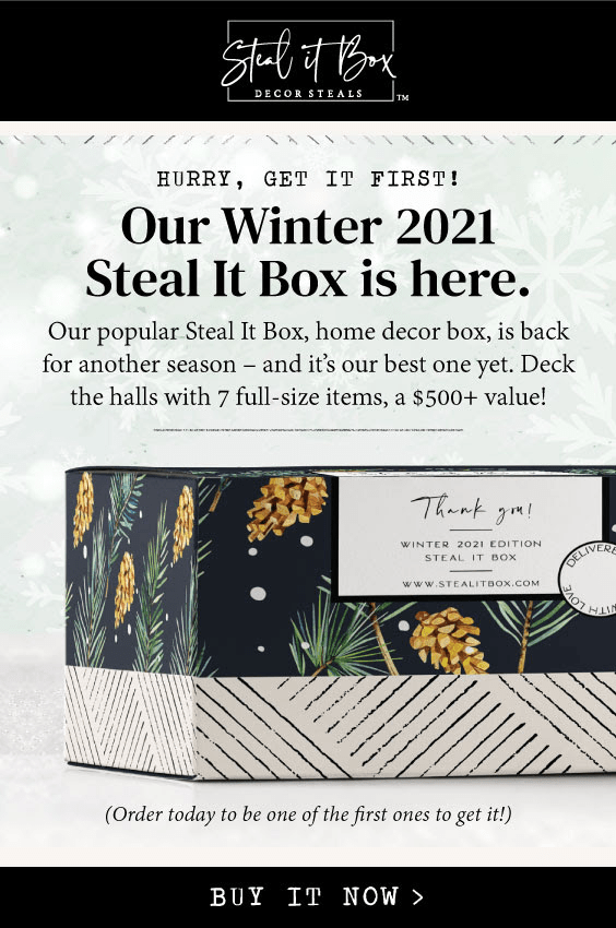 Decor Steals Winter 2021 Limited Edition Steal It Box Over 500 Value