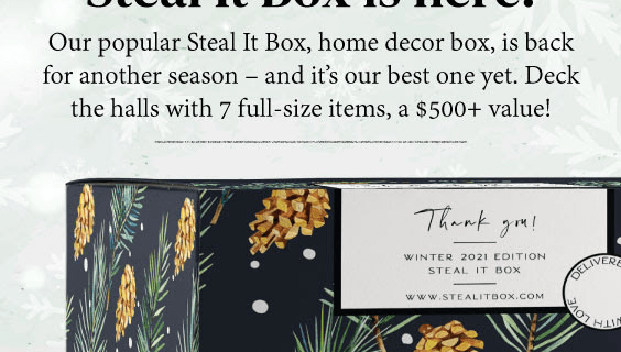 Decor Steals Winter 2021 Limited Edition Steal It Box: Over $500 Value!!