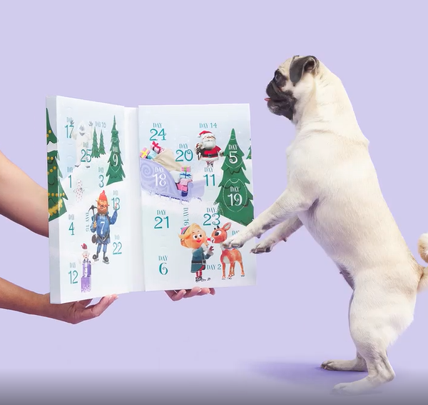 Before Black Friday BarkBox & Super Chewer Deal FREE Advent Calendar