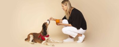Hello Pupscription: Finn, A Nutritional Supplement Subscription For Dogs!