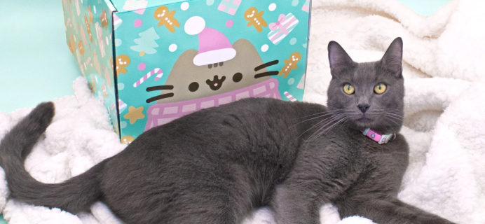 Cat Kit by Pusheen Box Winter 2021 Full Spoilers!