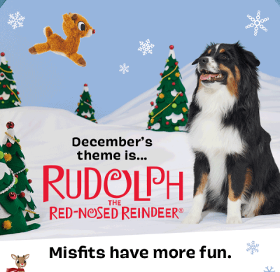 BarkBox December 2021 Rudolph The Red-Nosed Reindeer Box + FREE Box Coupon!