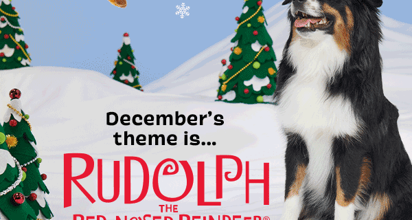 BarkBox December 2021 Rudolph The Red-Nosed Reindeer Box + FREE Box Coupon!