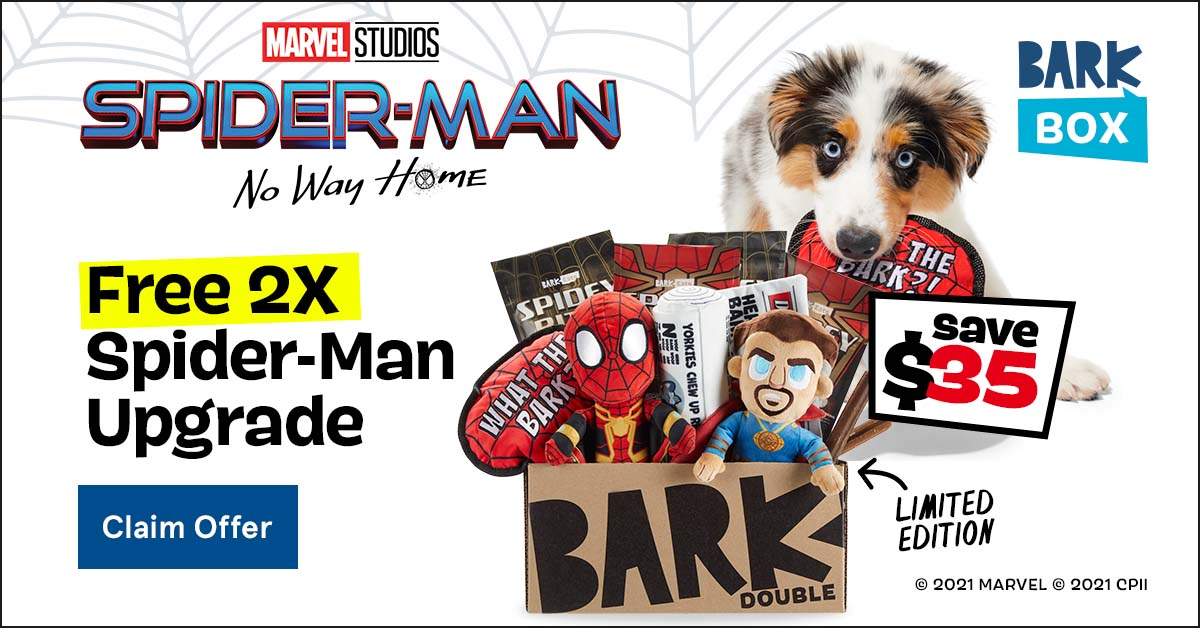 barkbox spider