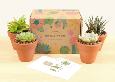 Succulents Box Cyber Monday Deal: Save 22% On All Subscriptions!