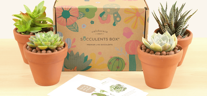 Succulents Box Black Friday Coupon: Save 20% On All Subscriptions!