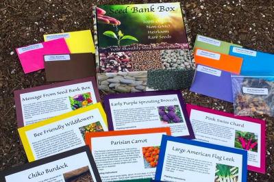 Seed Bank Box Black Friday Deal – Save 25% on ALL Subscriptions!