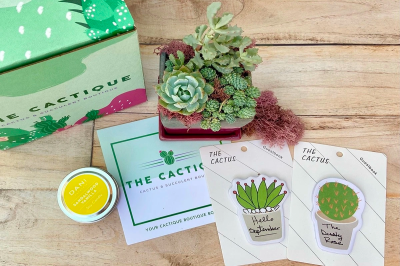 The Cactique Black Friday: Trendy Succulents Subscription 25% Off!