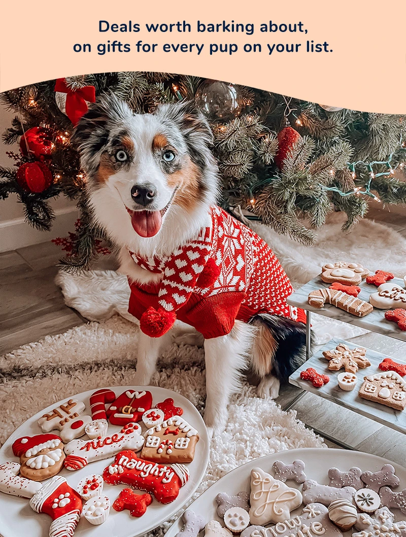 The best Christmas gifts for every dog on your list