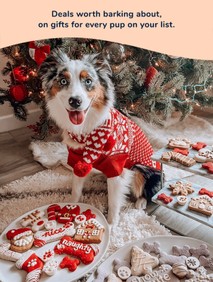 Wufers Cyber Monday Deal: Get Up To 75% Off Dog Cookies!