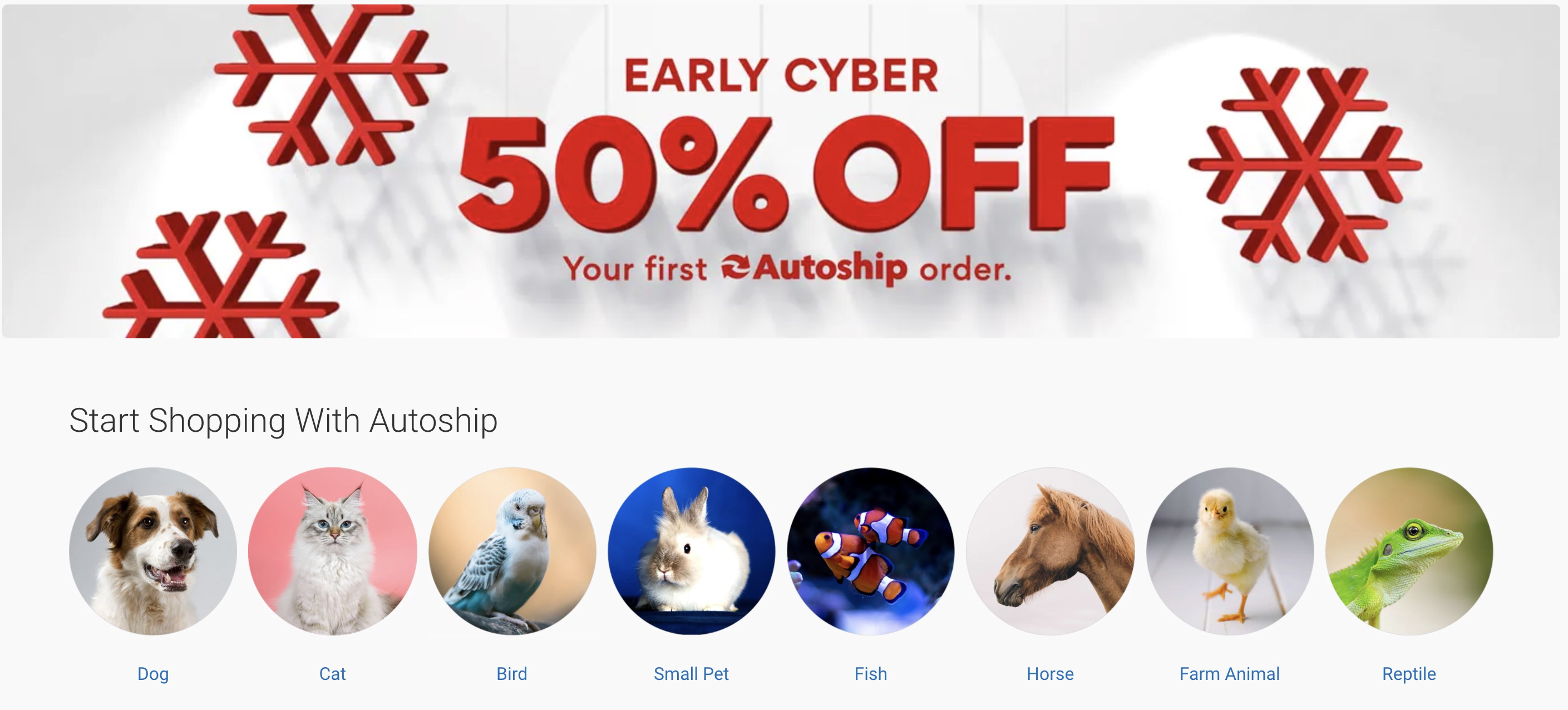 chewy cyber monday deal